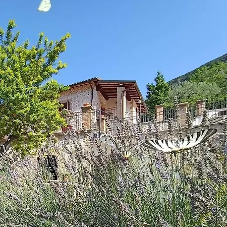 Pucci Ferentillo